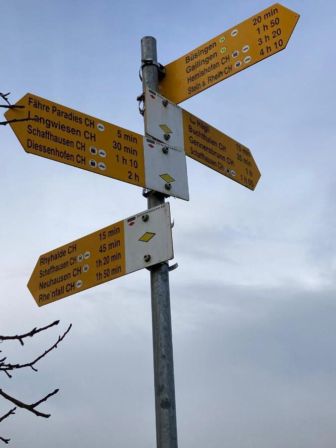 شقة Buesingen Am Hochrhein Radfahren, Wandern, Natur Geniessen المظهر الخارجي الصورة