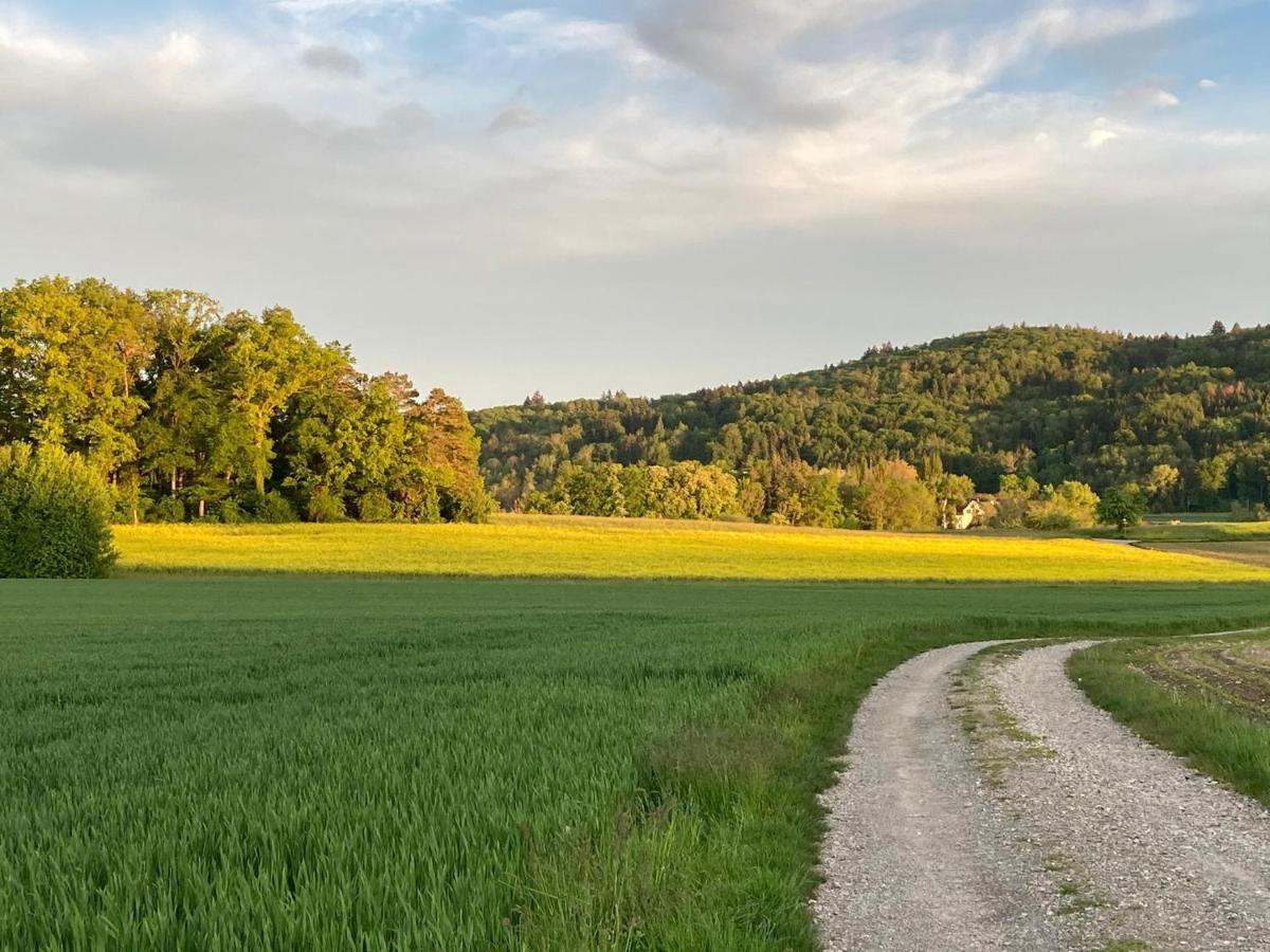 شقة Buesingen Am Hochrhein Radfahren, Wandern, Natur Geniessen المظهر الخارجي الصورة