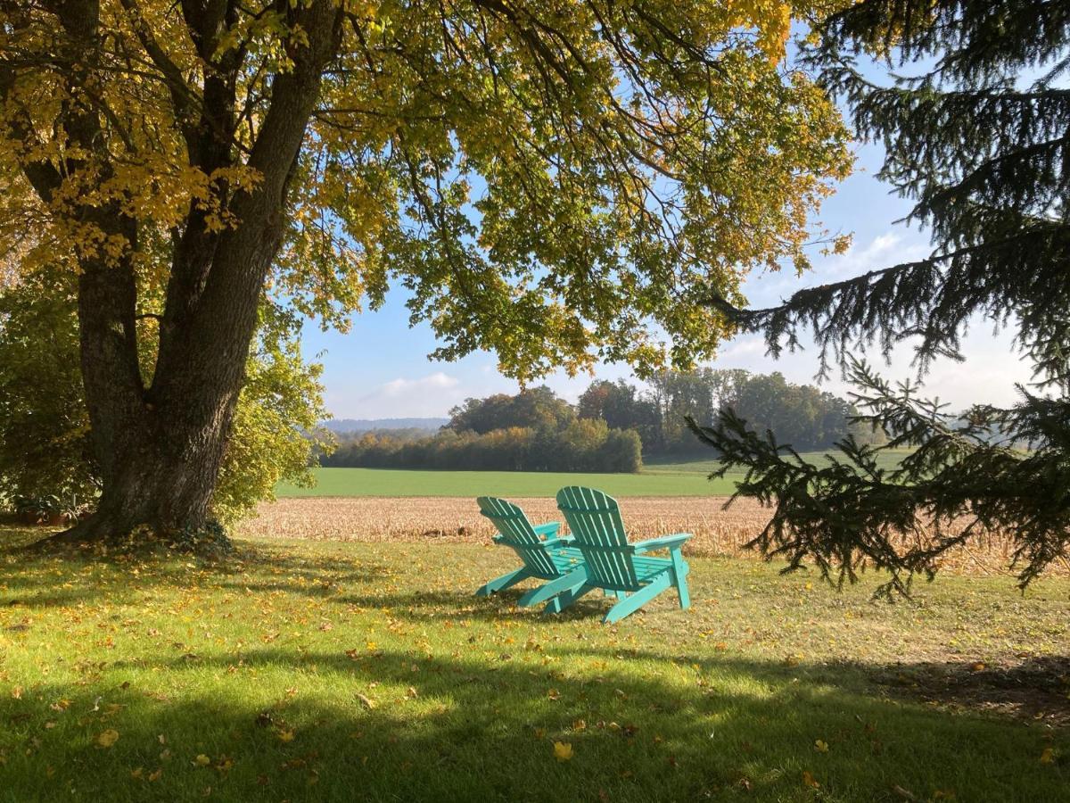 Buesingen Am Hochrhein Radfahren, Wandern, Natur Geniessen المظهر الخارجي الصورة